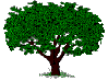 The Family Tree
